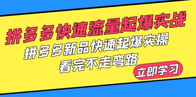 拼多多-快速流量起爆实战,拼多多新品快速起爆实操,看完不走弯路-副业金库
