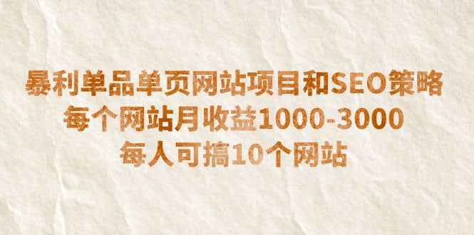 暴利单品单页网站项目和SEO策略 每个网站月收益1000-3000 每人可搞10个-副业金库