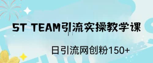 ST TEAM引流实操课，日引流网创粉100-副业金库
