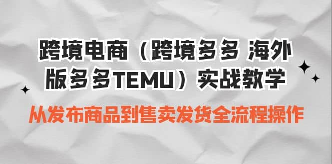 跨境电商(跨境多多 海外版多多TEMU)实操教学 从发布商品到售卖发货全流程-副业金库