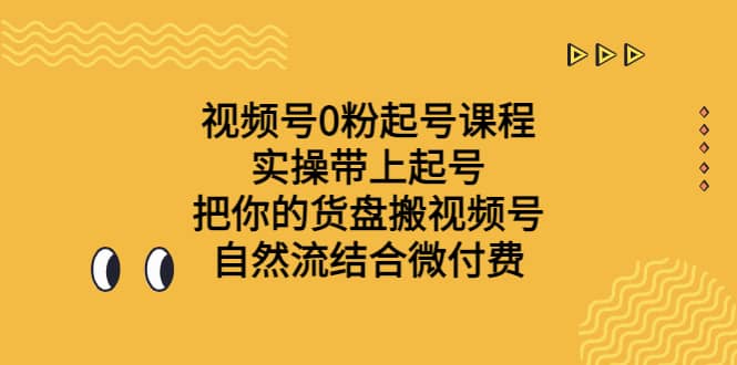 视频号0粉起号课程 实操带上起号 把你的货盘搬视频号 自然流结合微付费-副业金库