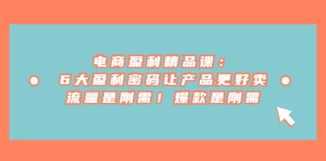 电商 盈利精品课:6大盈利 密码让产品更好卖,流量是刚需!爆款是刚需-副业金库