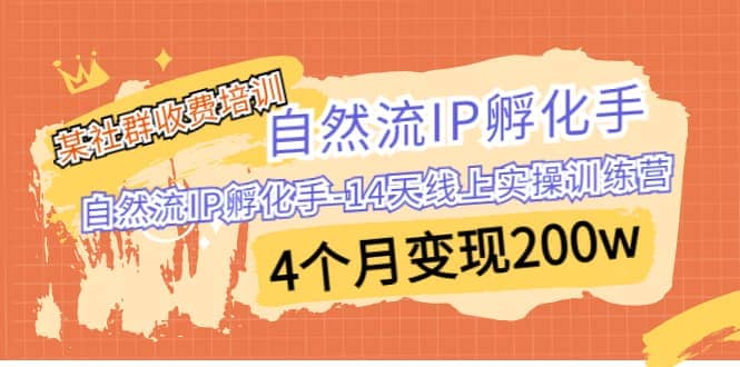 某社群收费培训：自然流IP 孵化手-14天线上实操训练营 4个月变现200w-副业金库