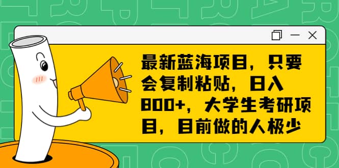 最新蓝海项目，只要会复制粘贴，日入800 ，大学生考研项目，目前做的人极少-副业金库