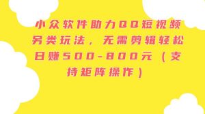 小众软件助力QQ短视频另类玩法，无需剪辑轻松日赚500-800元（支持矩阵...-副业金库
