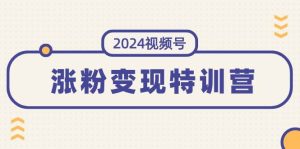 2024视频号-涨粉变现特训营:一站式打造稳定视频号涨粉变现模式(10节)-副业金库