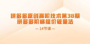 拼多多原创高阶技术第38期，拼多多阶梯提价破量法（14节课）-副业金库