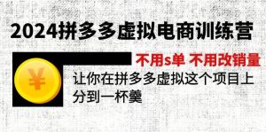 2024拼多多虚拟电商训练营 不s单 不改销量  做虚拟项目分一杯羹(更新10节)-副业金库