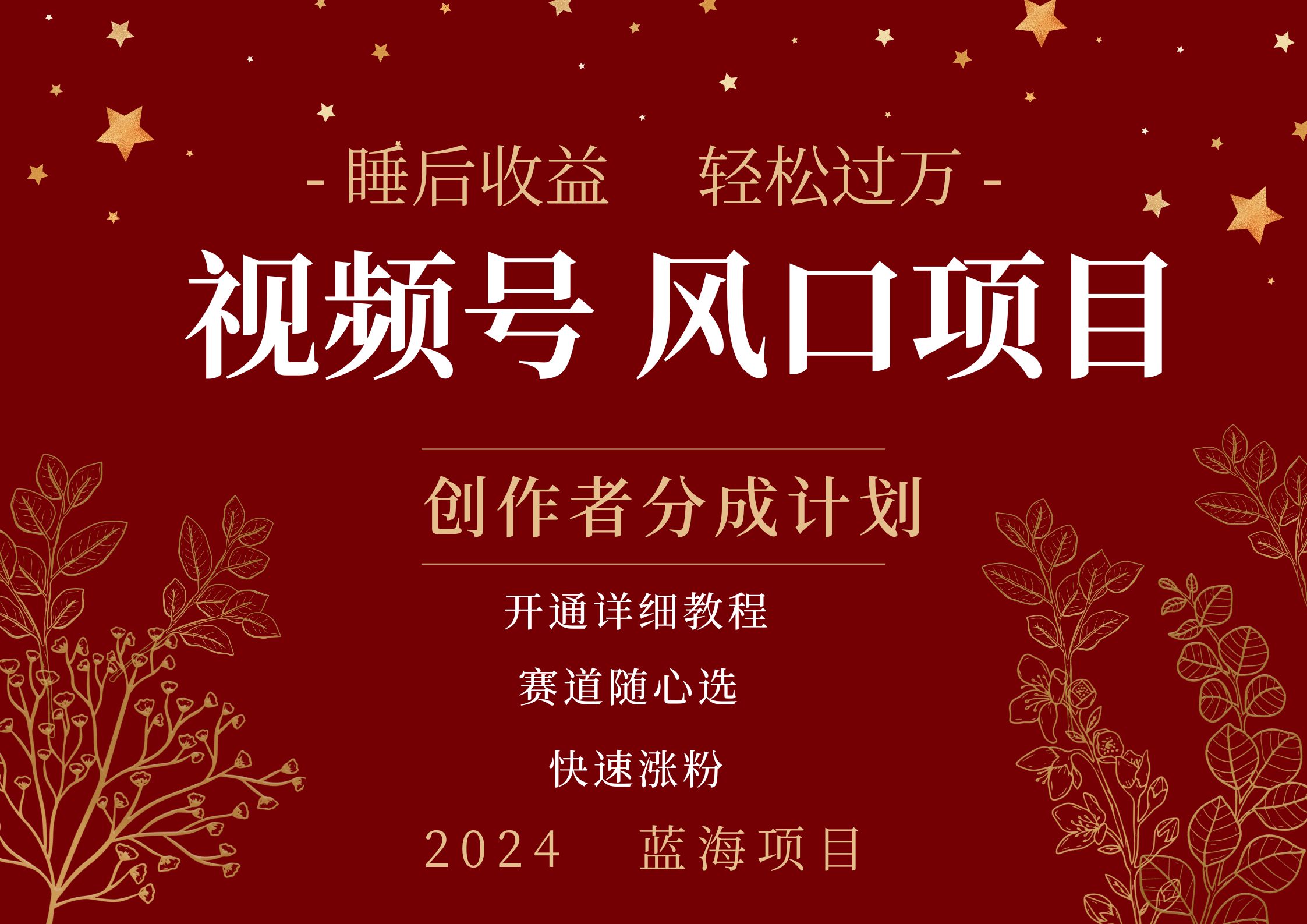 拥有睡眠收益的微信视频号大风口项目，轻松月入过万+，多赛道选择，可矩阵，玩法简单轻松上手-副业金库