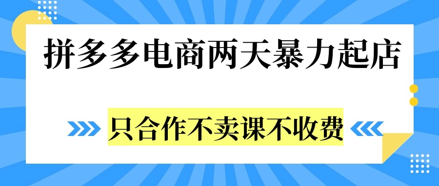 拼多多两天暴力起店，只合作不卖课不收费-副业金库