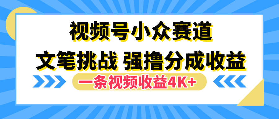 视频号小众赛道，文笔挑战，一条视频收益4K+-副业金库