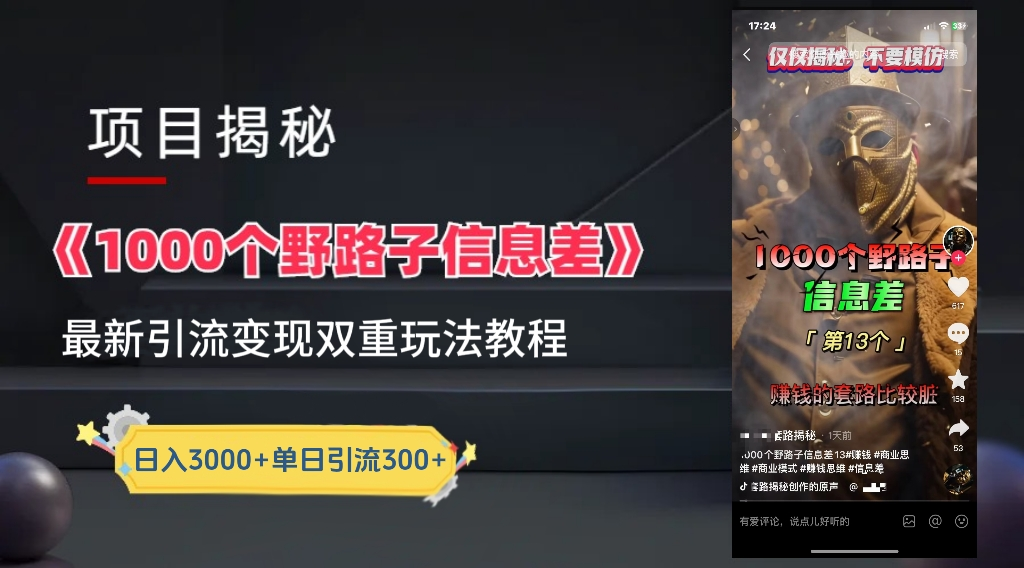 最新一千个野路子信息差玩法教程如何变现+引流的玩法具体拆解!!!-副业金库