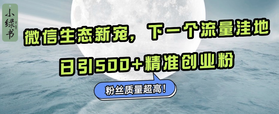 微信生态新宠小绿书：下一个流量洼地，粉丝质量超高，日引500+精准创业粉，-副业金库