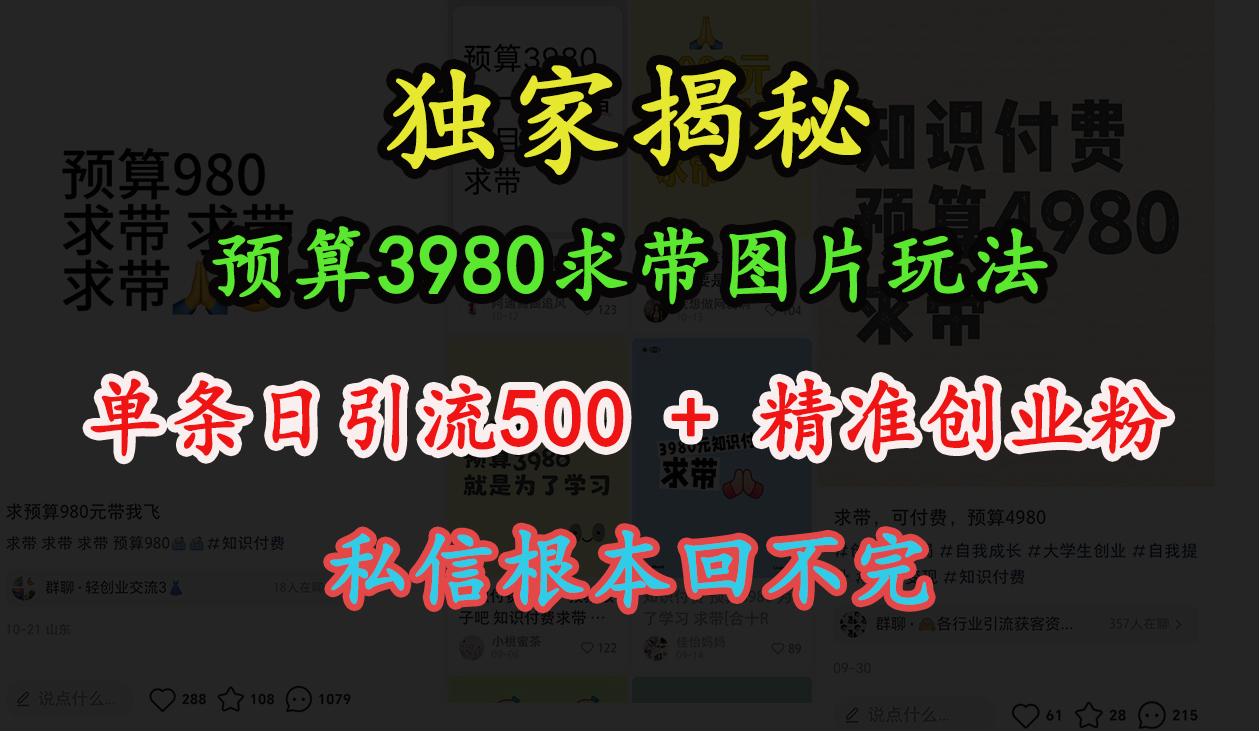 “小红书”预算3980求带 图片玩法，单条日引流500+精准创业粉，私信根本回不完-副业金库