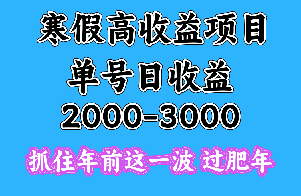 寒假期间一天收益2000-3000+，抓住年前这一波-副业金库