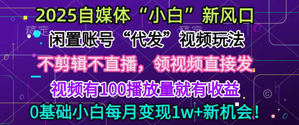 2025每月躺赚5w+新机会,闲置视频账号一键代发玩法,0粉不实名不剪辑,领了视频直接发,0基础小白也能日入300+-副业金库