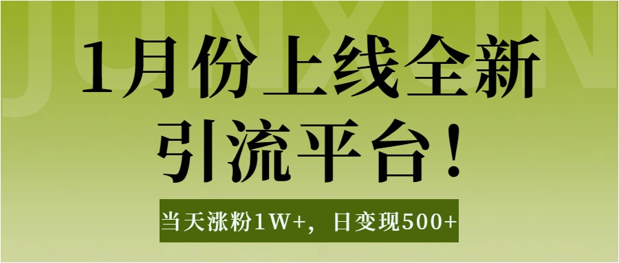 1月上线全新引流平台,当天涨粉1W+,日变现500+工具无脑涨粉,解放双手操作简单-副业金库