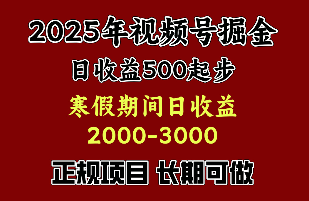 寒假期间一天收益2000+,小白一天就能上手-副业金库
