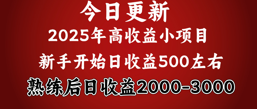 2025开年好项目，新手日收益500+ 熟练掌握后，日收益平均2000多-副业金库