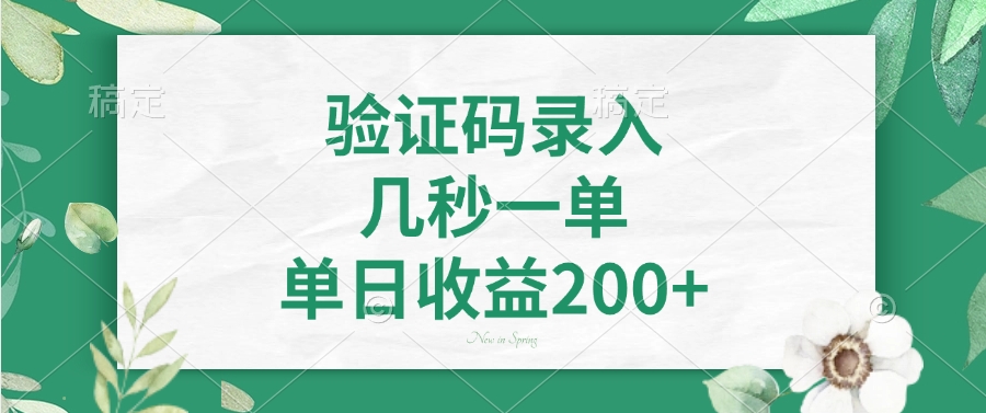 验证码录入，几秒一单，单日收益200+-副业金库