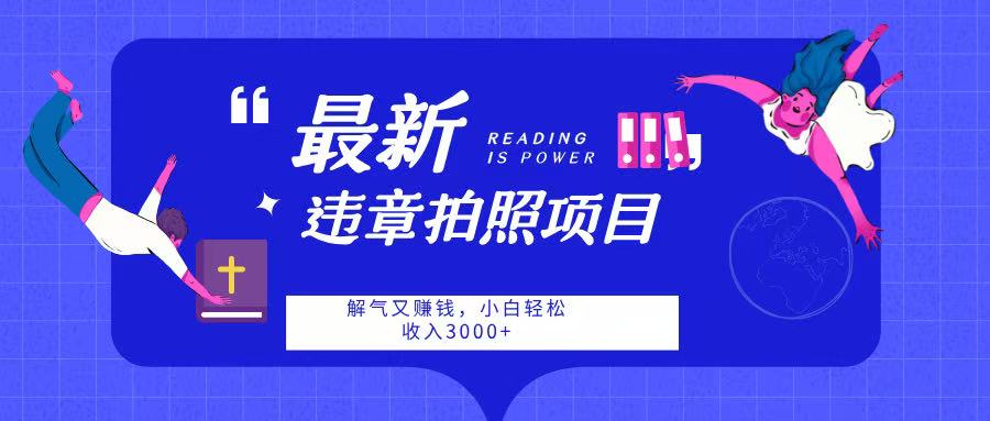 最新违章拍照项目，解气又赚钱，随手一拍，轻松收入3000-副业金库