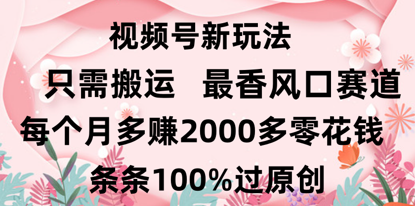 日入2000+,条条100%过原创,视频号最香风口赛道,小白轻松上手-副业金库