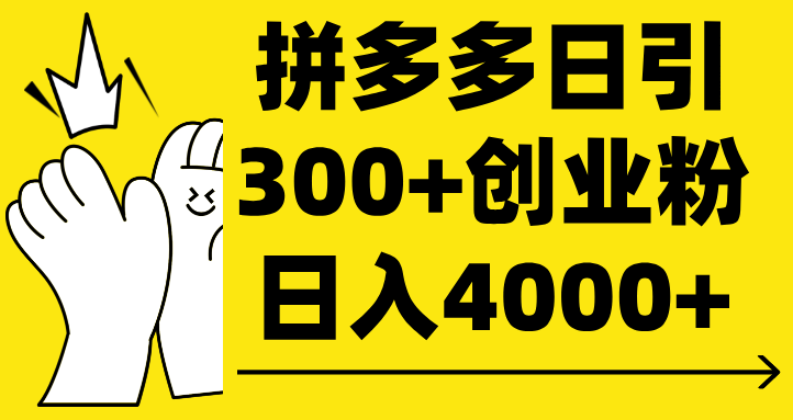 拼多多日引300+创业粉 日入4000+-副业金库