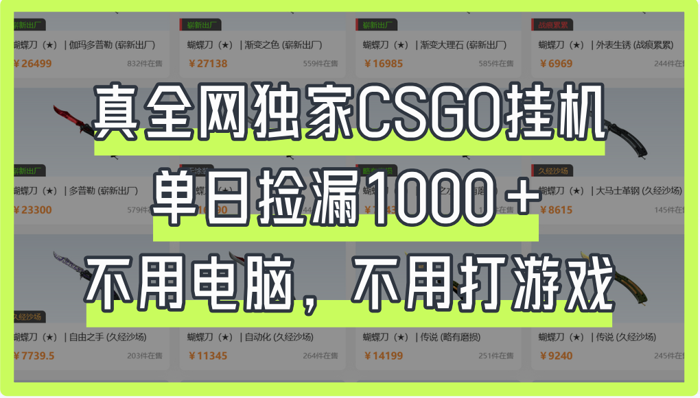 真全网独家CSGO挂机，单日捡漏1000+-副业金库