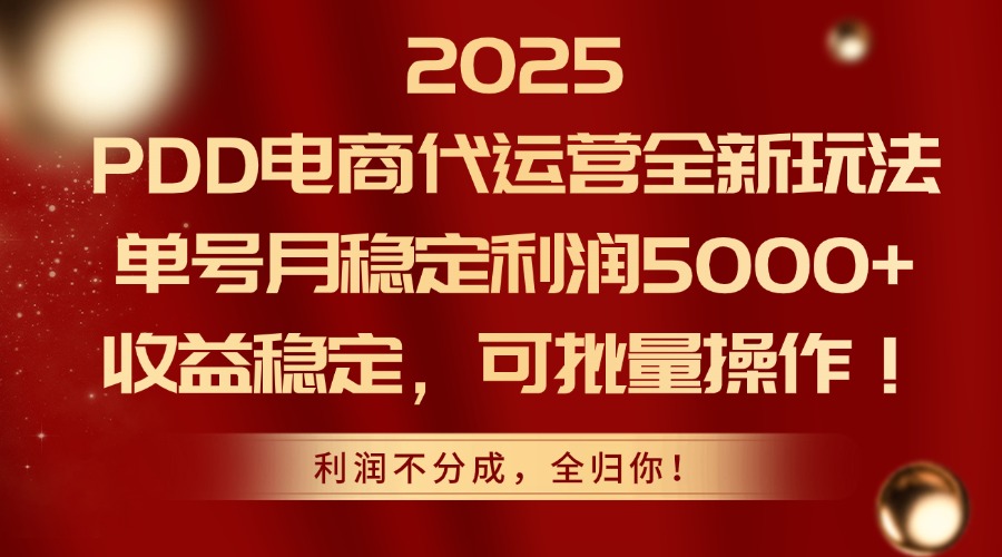 2025 PDD电商代运营全新玩法，单号月稳定利润5000+，收益稳定，可批量操作！-副业金库