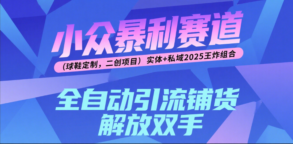 楠—小众暴利赛道(球鞋定制,二创项目)实体+私域2025王炸组合-副业金库