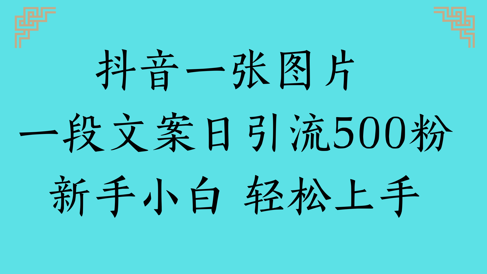 抖音一张图片 一段文案日引流500粉新手小白 轻松上手-副业金库