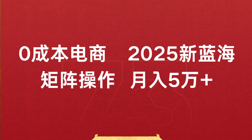 0成本电商2025新蓝海矩阵操作 月入5万+-副业金库