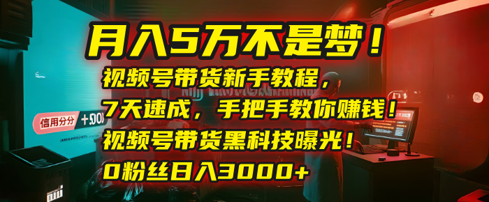 月入5万不是梦！视频号带货新手教程，7天速成，手把手教你赚钱！视频号带货黑科技曝光！0粉丝日入3000+-副业金库