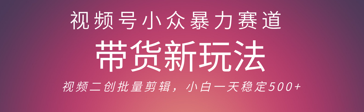 视频号小众暴力赛道，最新带货玩法 小白也能轻松日入500+ 保姆及教程-副业金库
