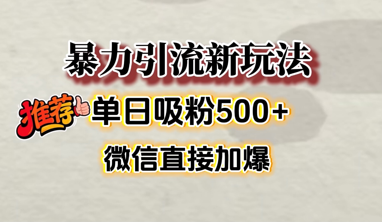 微信加爆的引流超级方法，单日吸粉500➕-副业金库