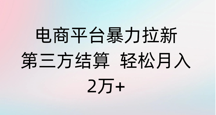 电商平台暴力拉新第三方结算 轻松月入2万+-副业金库