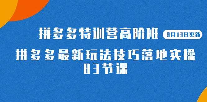 2023拼多多·特训营高阶班【9月13日更新】拼多多最新玩法技巧落地实操-83节-副业金库