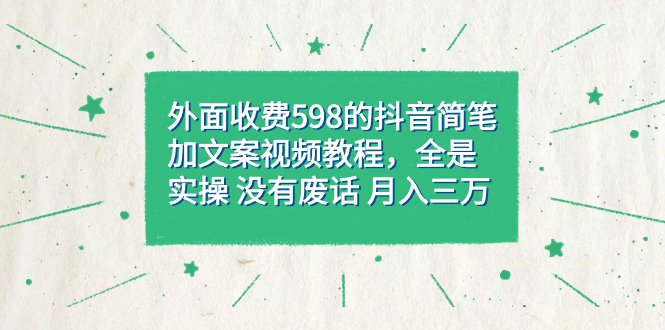 外面收费598抖音简笔加文案教程，全是实操 没有废话 月入三万（教程 资料）-副业金库