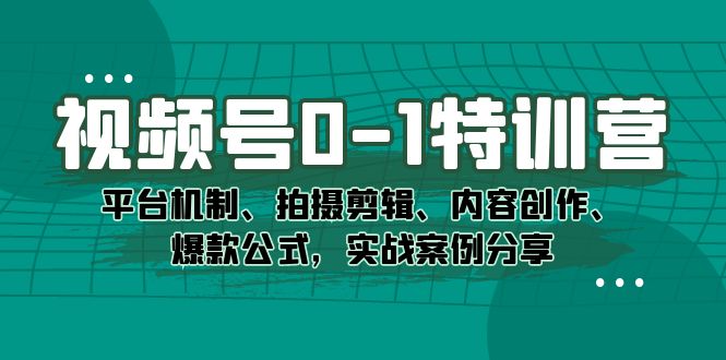 视频号0-1特训营:平台机制、拍摄剪辑、内容创作、爆款公式,实战案例分享-副业金库