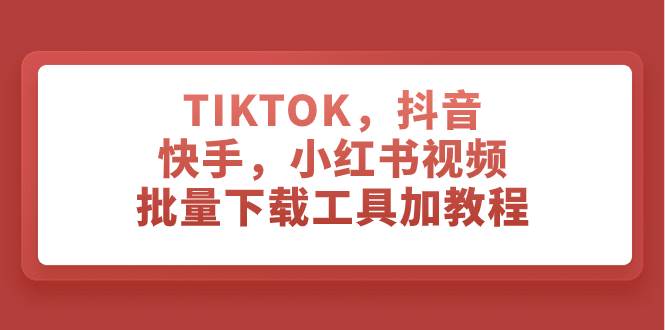TIKTOK，抖音，快手，小红书视频批量下载工具加教程-副业金库