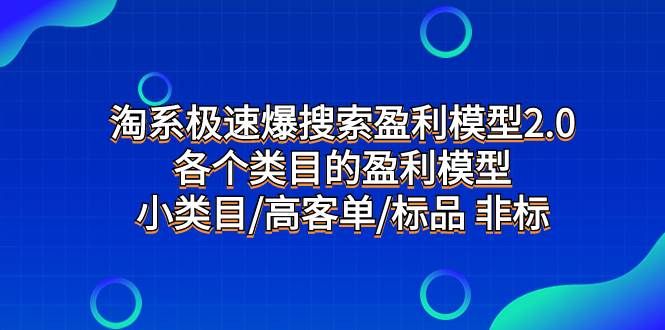 淘系极速爆搜索盈利模型2.0，各个类目的盈利模型，小类目/高客单/标品 非标-副业金库