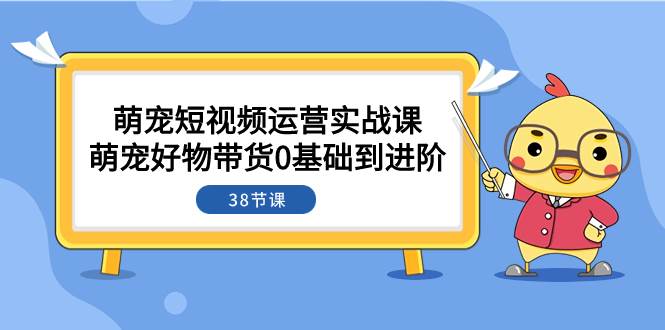 萌宠·短视频运营实战课：萌宠好物带货0基础到进阶（38节课）-副业金库