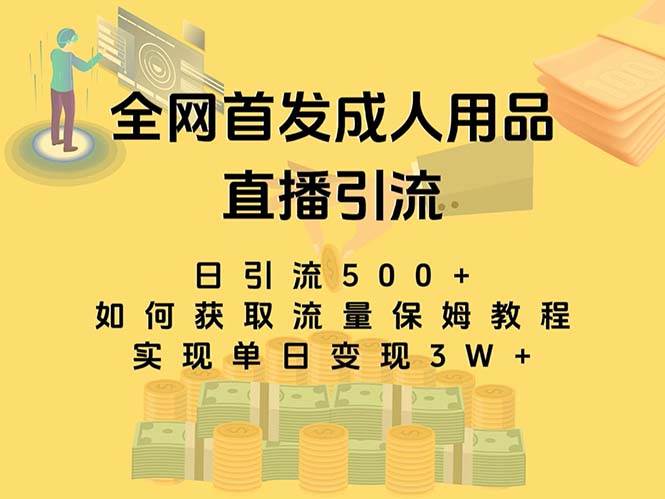 最新全网独创首发，成人用品直播引流获客暴力玩法，单日变现3w保姆级教程-副业金库