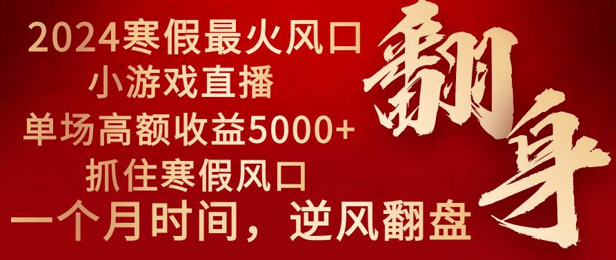 2024年最火寒假风口项目 小游戏直播 单场收益5000 抓住风口 一个月直接提车-副业金库