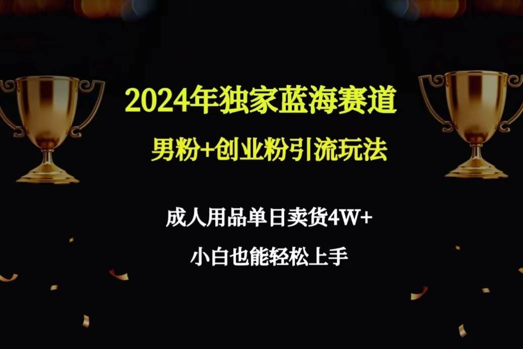 2024年独家蓝海赛道男粉+创业粉引流玩法，成人用品单日卖货4W+保姆教程-副业金库