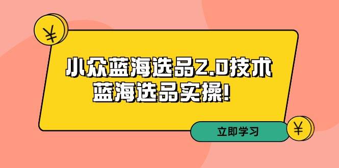 拼多多培训第33期:小众蓝海选品2.0技术-蓝海选品实操!-副业金库