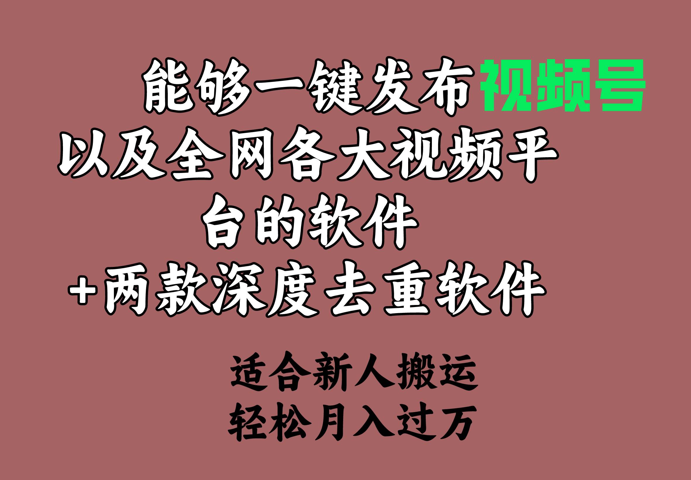 能够一键发布视频号以及全网各大视频平台的软件+两款深度去重软件 适合...-副业金库