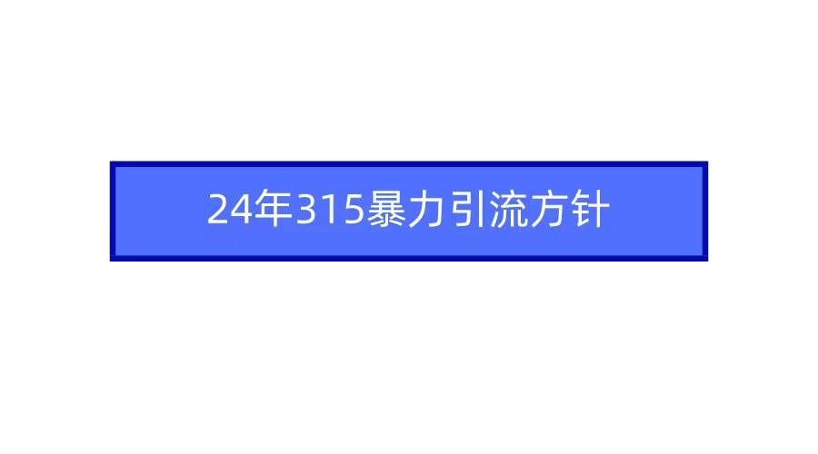 2024年315暴力引流方针-副业金库