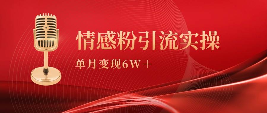 单月变现6w+，情感粉引流变现实操课-副业金库