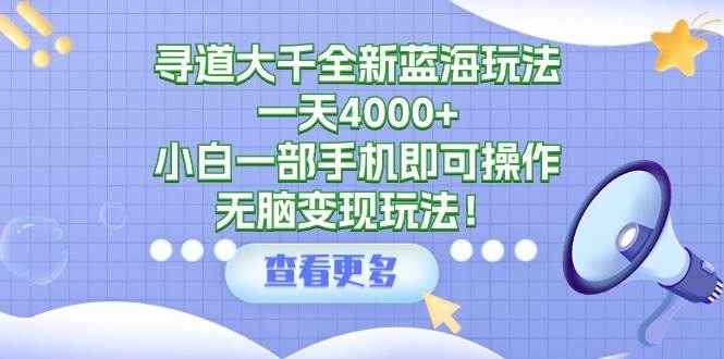 寻道大千全新蓝海玩法，一天4000+，小白一部手机即可操作，无脑变现玩法！-副业金库